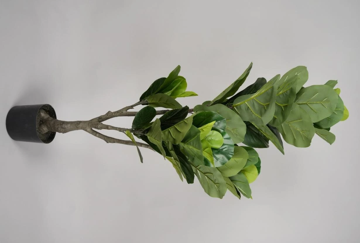 Fiddle Tree x57 Lvs PE Leaves And PU Trunk 120cm